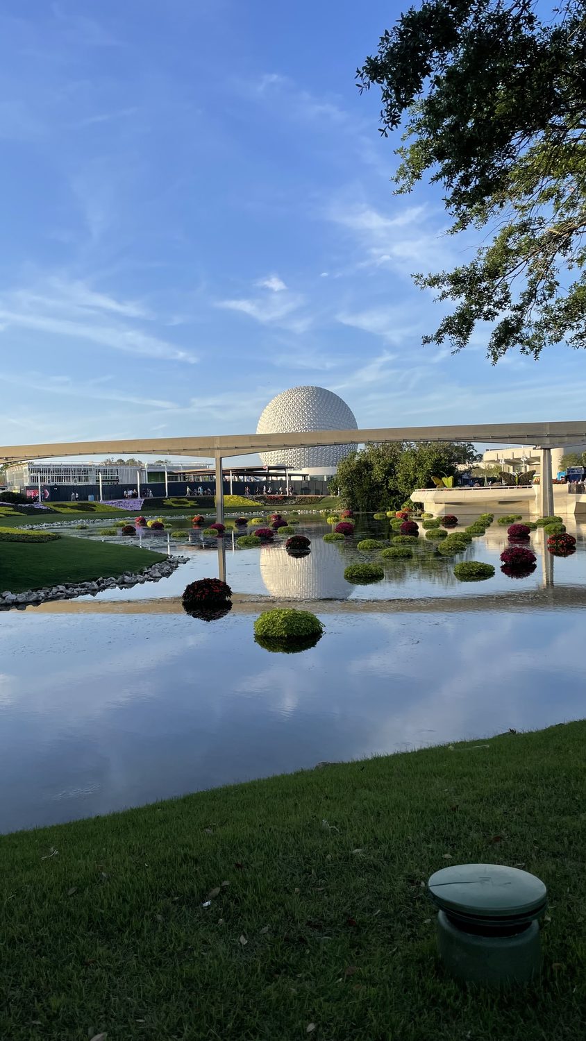 Walt Disney World and Disneyland, planned by Marina Mirabal