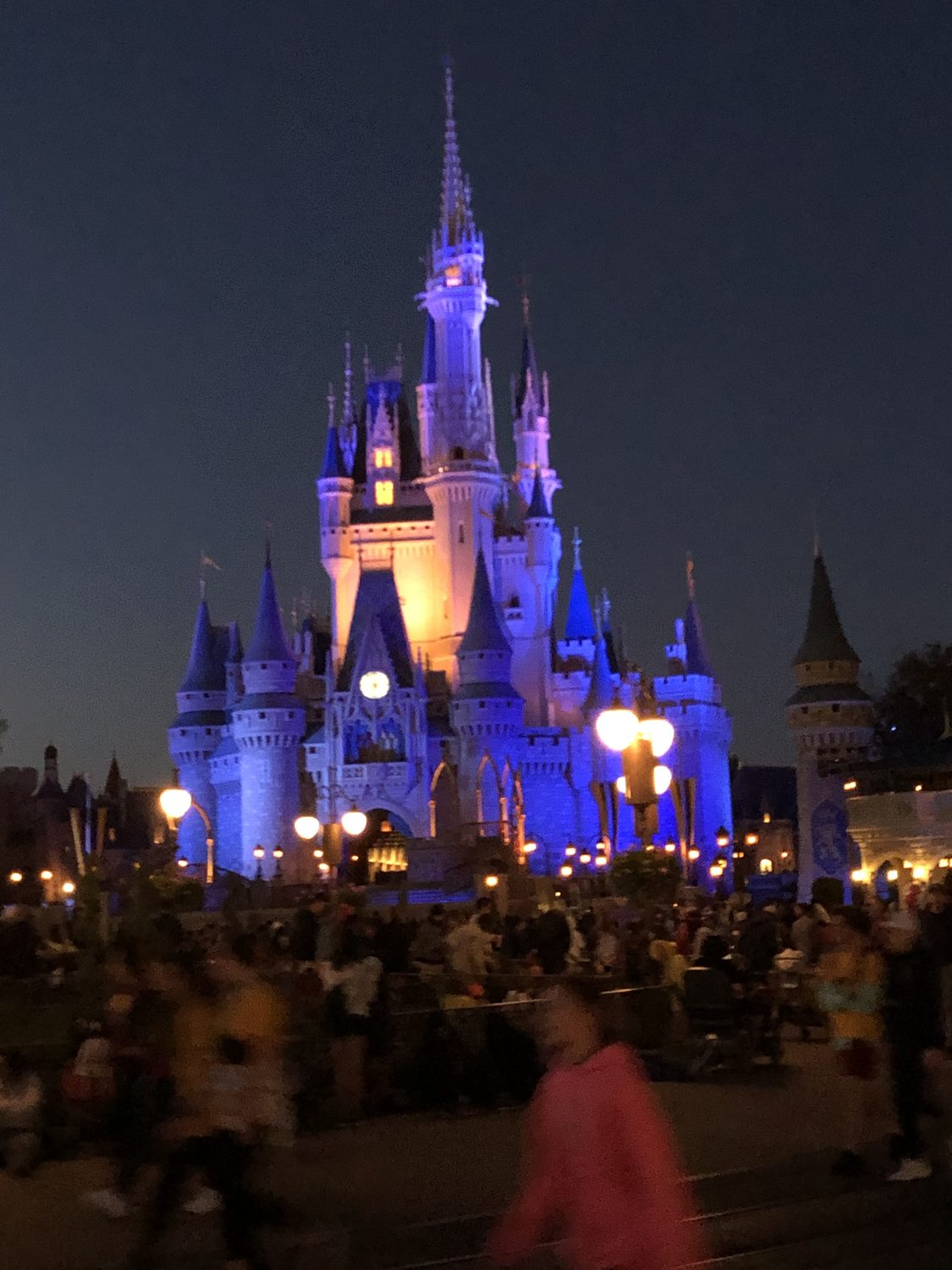 Disney parks and resorts, planned by Marina Mirabal