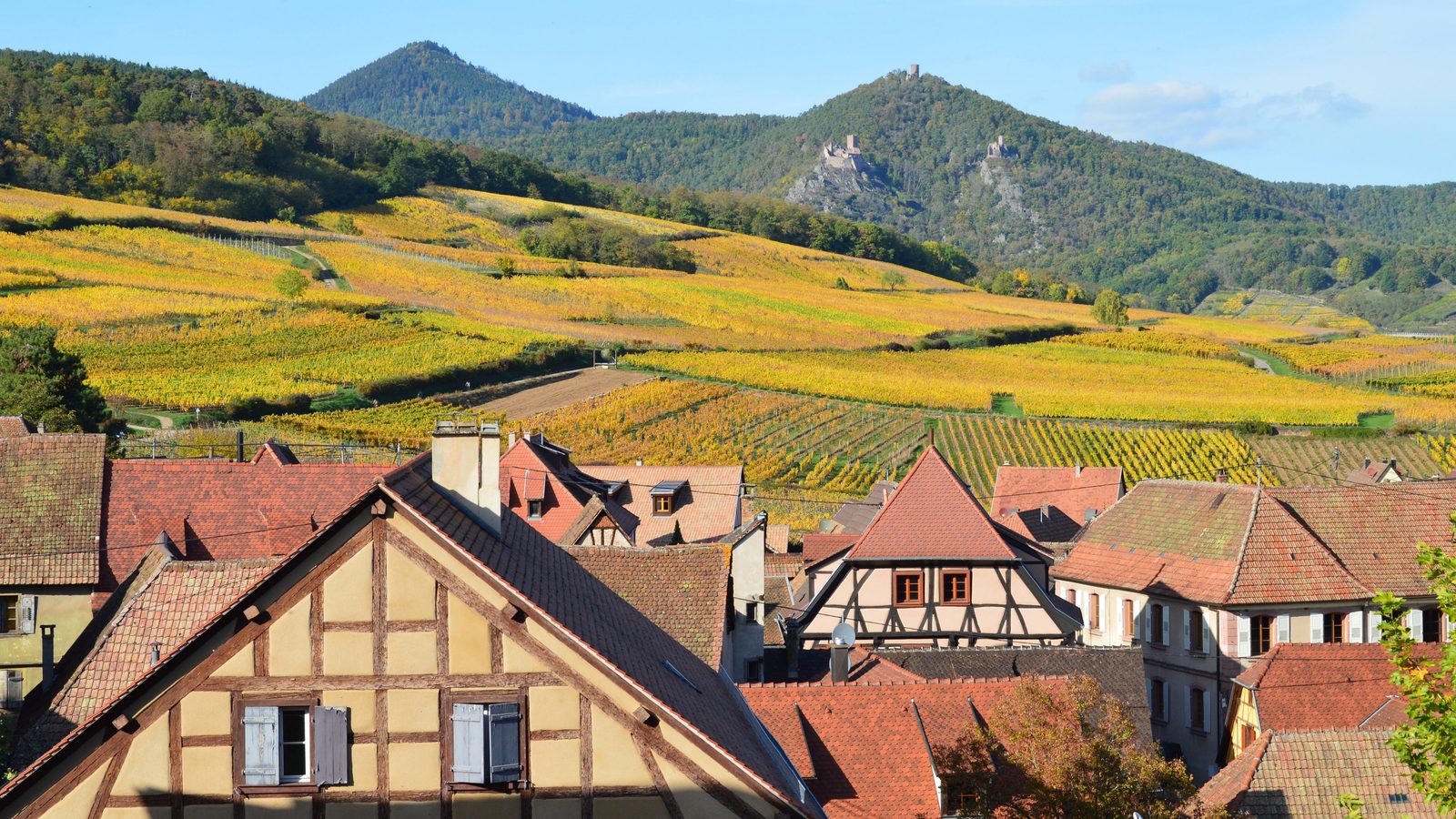 A half-timbered village below autumn vineyards on the Alsace wine route in France