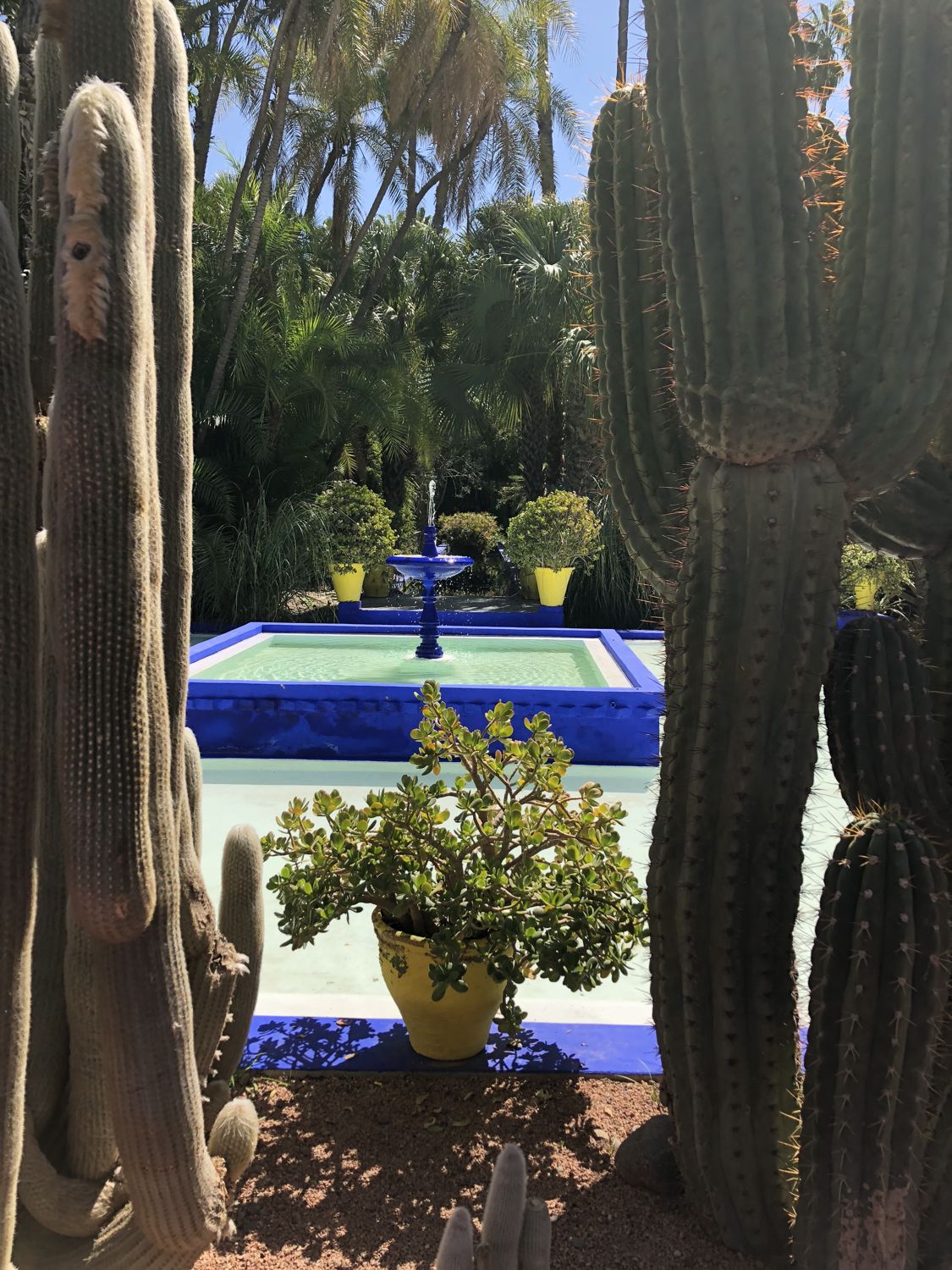 Riad pool courtyard in Marrakech, Morocco