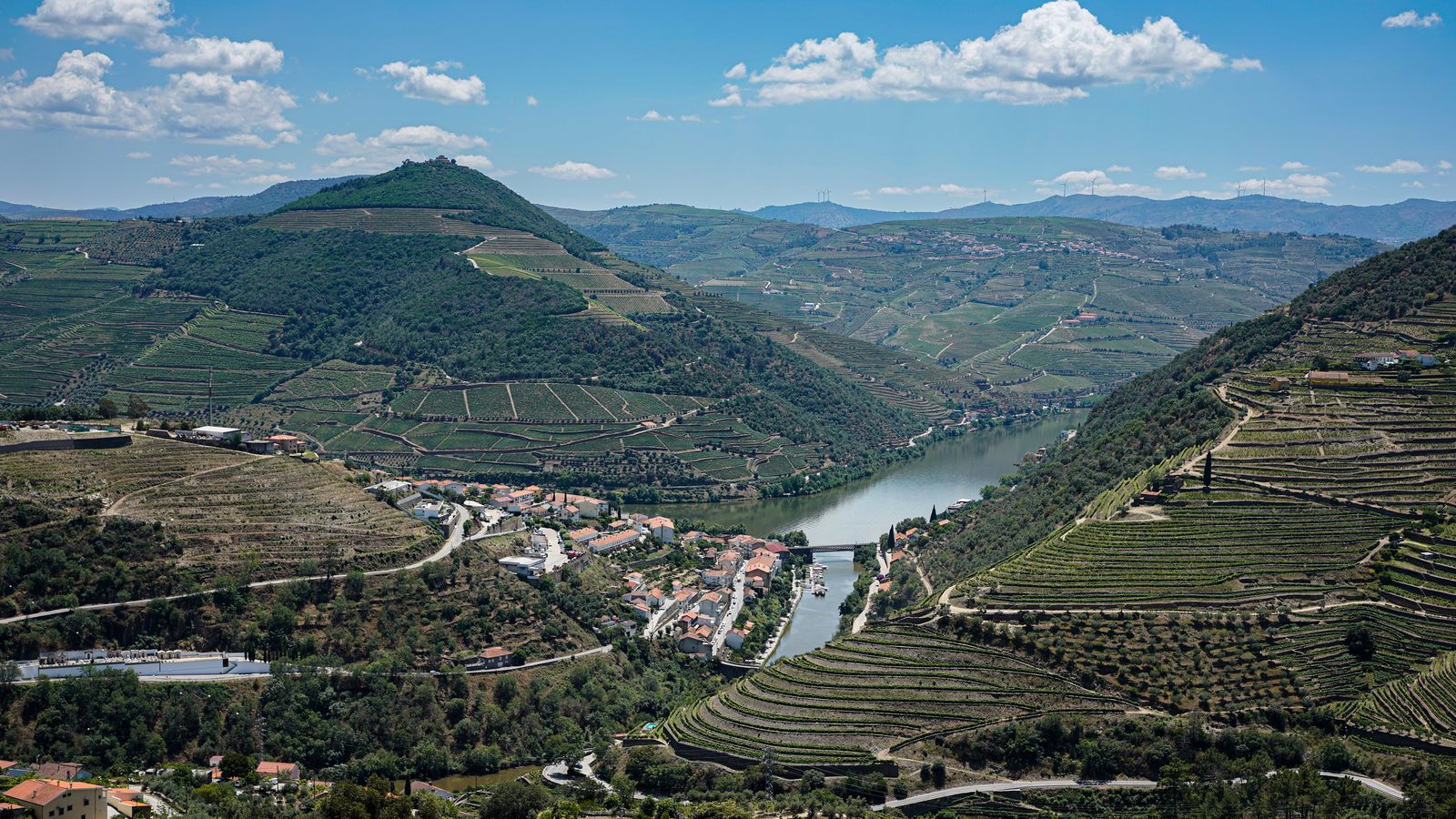 Terraced vineyards along the Douro Valley in Portugal
