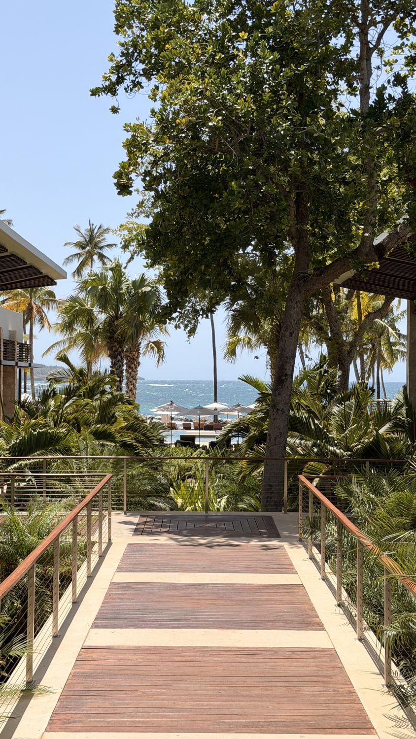 Palm-lined path to the beach at Dorado Beach, Puerto Rico