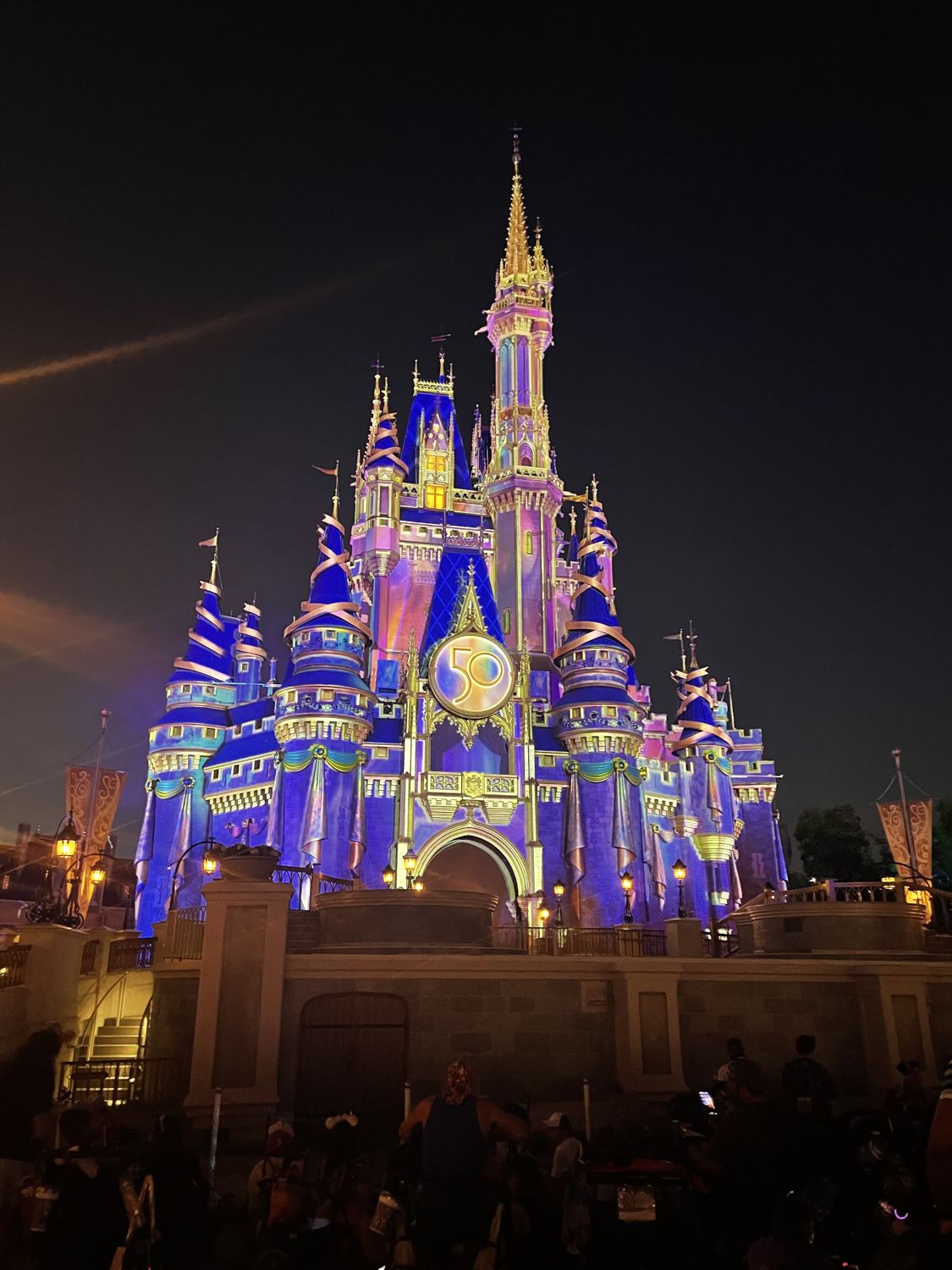 A Walt Disney World resort, planned by Marina Mirabal